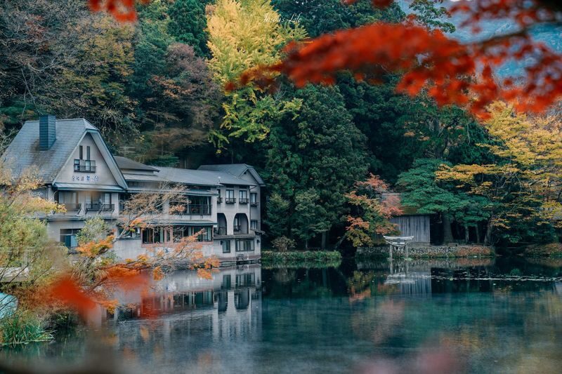 Kyushu | Oita Kyushu Natural Animal Park/Beppu Sea Hell Hot Spring/Yufuin/Kinrin Lake Customized Chartered Day Tour - Kyushu Natural Animal Park rewards an early start