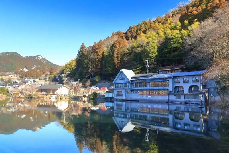 Kyushu | Oita Kyushu Natural Animal Park/Beppu Sea Hell Hot Spring/Yufuin/Kinrin Lake Customized Chartered Day Tour - The driver can make the day easier, but is not a guide