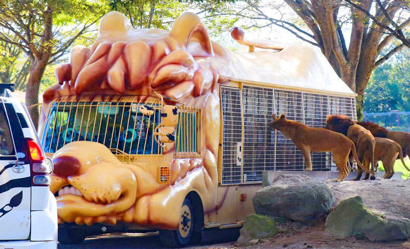Kyushu Oita | Kyushu Natural Animal Park & Mt. Yufu & Yufuin & Kinrin Lake & Umi Jigoku (Ocean Hell) Day Trip (From Fukuoka) - Who will get the most from this day