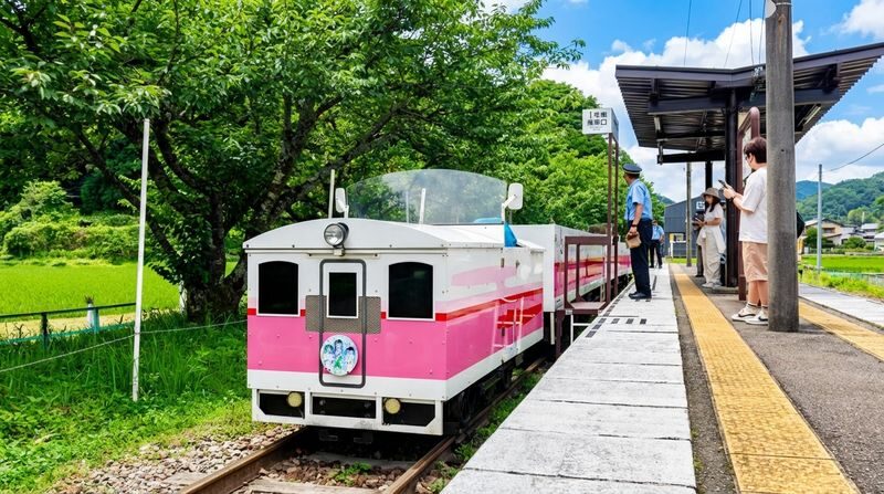 Kyushu One-Day Tour: Takachiho Railway & Takachiho Gorge & Amano Iwato Shrine (Chinese and English Speaking Guide, Departing from Fukuoka) - Guides, language, and the value of a group tour