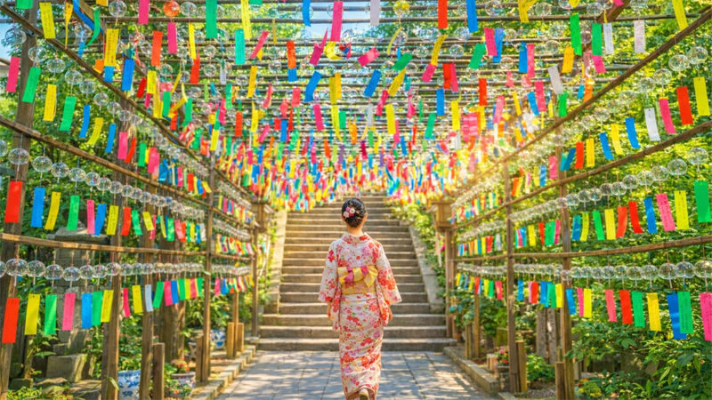Kyushu One-Day Tour: Yufuin no Mori Train & Yufuin Town & Nyoirin-ji Temple & Dazaifu & Hell Hot Springs (Departing from Fukuoka) - Route B: frogs, a volcano, and Beppu’s steaming pools
