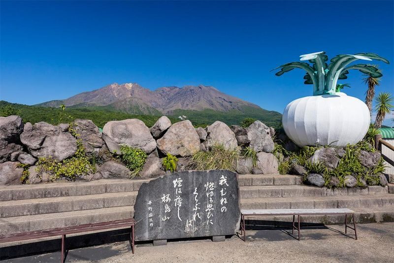 Kyushu Pier Charter: Kagoshima/Miyazaki Pier Private Charter Day Tour | Customizable Itinerary - Choose your stops, but keep the route realistic