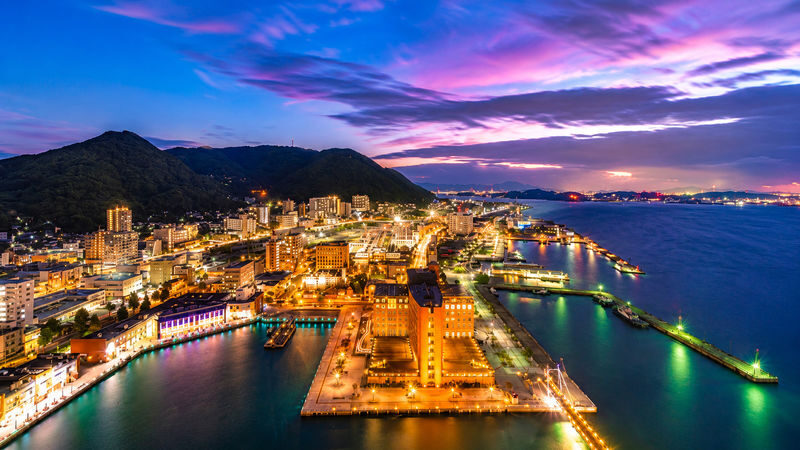 Kyushu Private Car Tour: Fukuoka, Yufuin, Kumamoto, Beppu, Aso, etc. (Customizable Itinerary) - Pick the vehicle for passengers and luggage, not just price