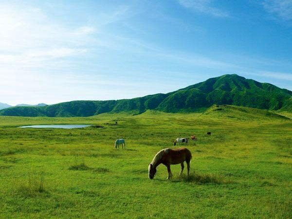 Kyushu Private Charter: Fukuoka, Yufuin, Beppu, Kumamoto, Aso, Takachiho, etc. (Customized itinerary available) - Takachiho is a long-day choice