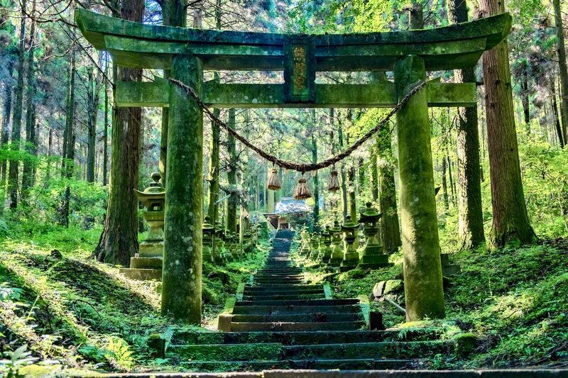 Kyushu Private Charter: Fukuoka, Yufuin, Beppu, Kumamoto, Aso, Takachiho, etc. (Customized itinerary available) - What the price includes, and what can add up