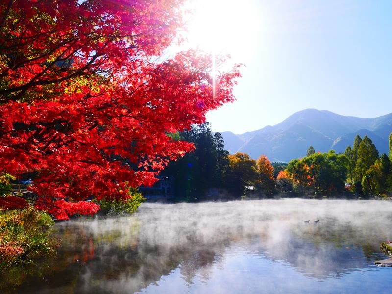 Kyushu Private Charter: Fukuoka, Yufuin, Beppu, Kumamoto, Aso, Takachiho, etc. (Customized itinerary available) - Match the car to your people and bags