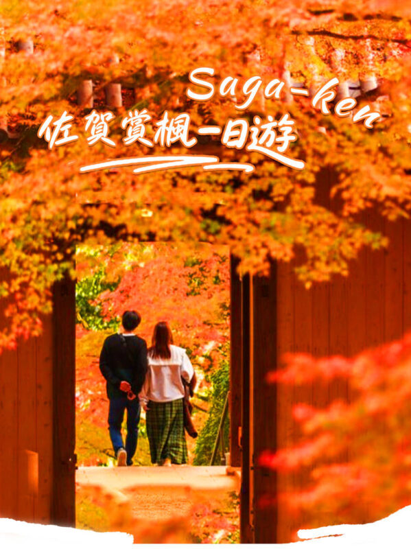 Kyushu/Saga Autumn Foliage Tour | Dazaifu Tenmangu Shrine (Optional Kimono Experience)-Daikozenji Temple-Kunenan-Homangu Kamado Shrine Illumination - A full autumn day beyond central Fukuoka