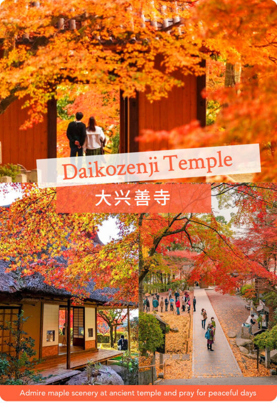 Kyushu/Saga Autumn Foliage Tour | Dazaifu Tenmangu Shrine (Optional Kimono Experience)-Daikozenji Temple-Kunenan-Homangu Kamado Shrine Illumination - Kamado Shrine after sunset