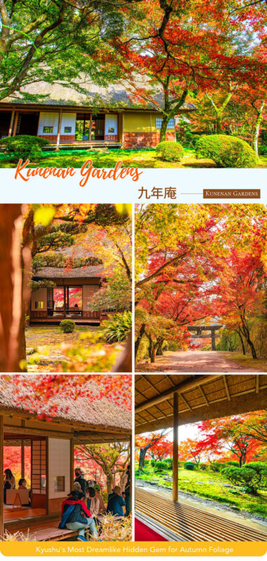Kyushu/Saga Autumn Foliage Tour | Dazaifu Tenmangu Shrine (Optional Kimono Experience)-Daikozenji Temple-Kunenan-Homangu Kamado Shrine Illumination - What the pace means for your visit