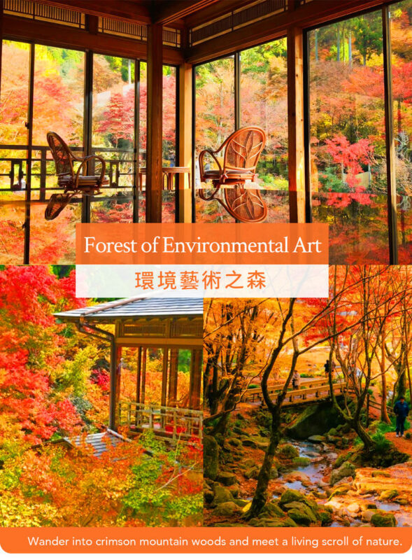 Kyushu/Saga Autumn Foliage Tour | Dazaifu Tenmangu Shrine (Optional Kimono Experience)-Daikozenji Temple-Kunenan-Homangu Kamado Shrine Illumination - Food, fees, and practical details