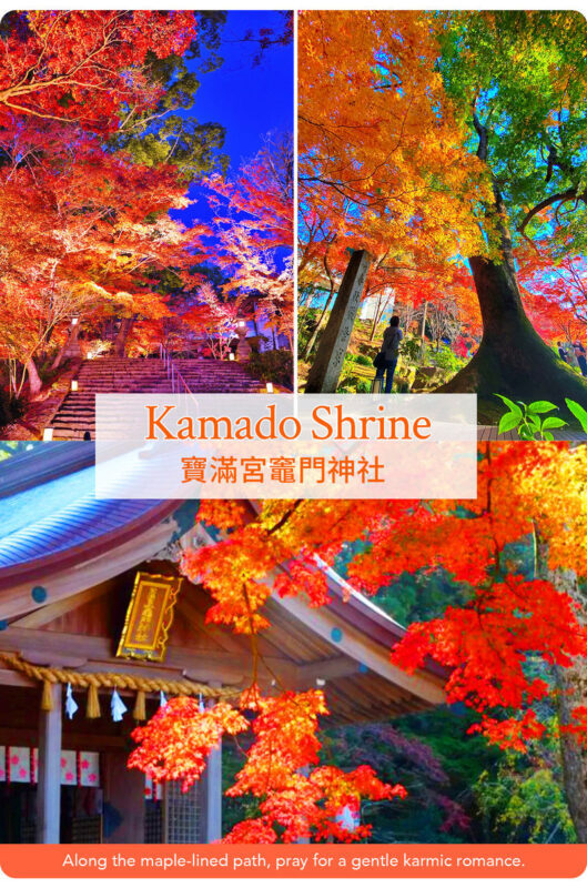 Kyushu/Saga Autumn Foliage Tour | Dazaifu Tenmangu Shrine (Optional Kimono Experience)-Daikozenji Temple-Kunenan-Homangu Kamado Shrine Illumination - Should you book this autumn tour?