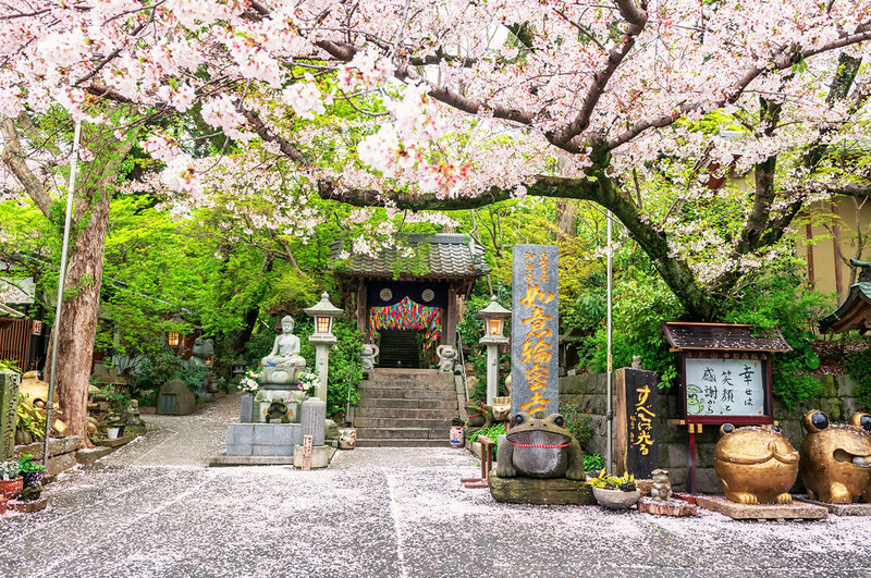 Kyushu Scenic Tour: Yufuin & Hita & Frog Temple Day Trip from Fukuoka - Nyoirinji Temple: a frog-themed finish