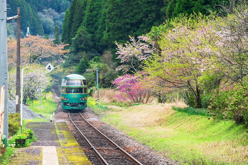 Kyushu Scenic Tour: Yufuin & Hita & Frog Temple Day Trip from Fukuoka - Guide support and the pace of the day