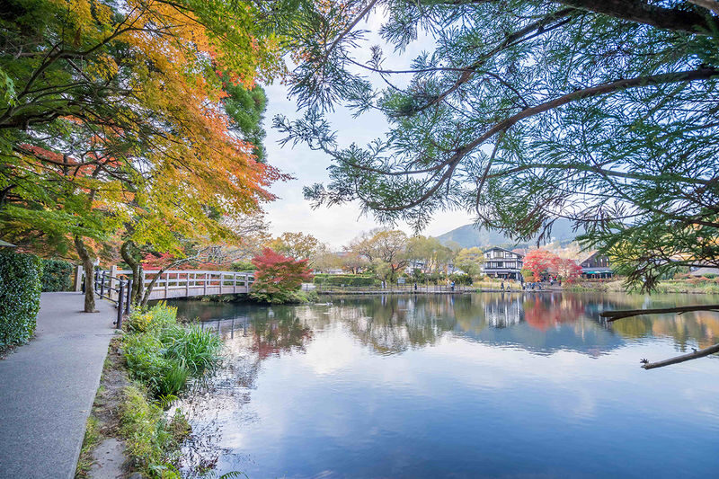 Kyushu Scenic Tour: Yufuin & Hita & Frog Temple Day Trip from Fukuoka - What $44.19 can buy you