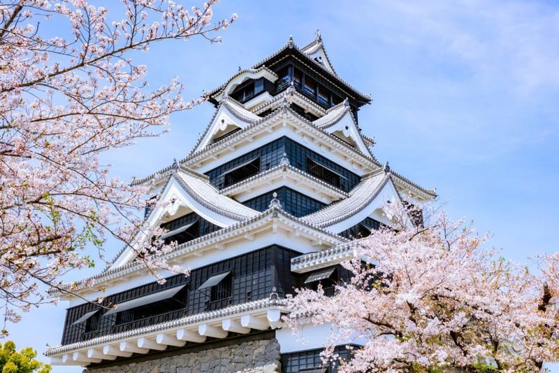 Kyushu Wharf Private Car Charter: Fukuoka/Nagasaki/Sasebo/Kumamoto Wharf Private Car Charter One-Day Tour | Customizable Itinerary - Choose a vehicle for people and bags