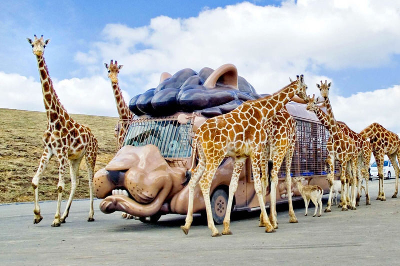 Kyushu Wildlife Park & Yufuin Full-Day Hot Springs Tour - At a glance