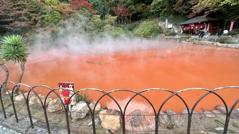 Kyushu Wildlife Park & Yufuin Full-Day Hot Springs Tour - What the hot-springs wording does and does not tell you