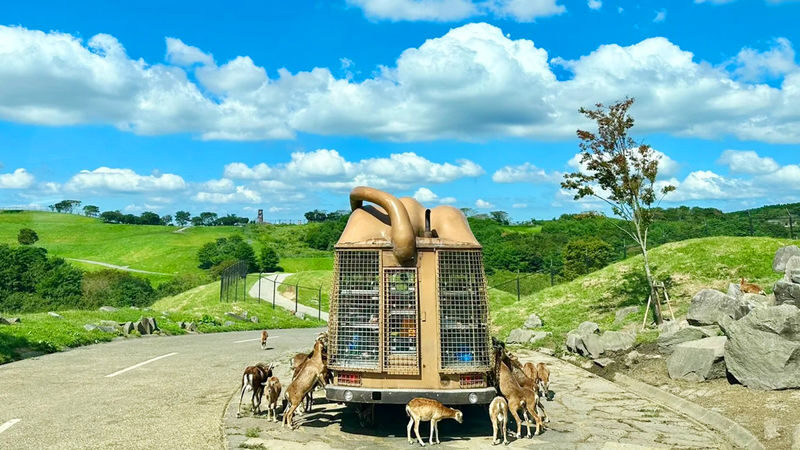 Kyushu Wildlife Park & Yufuin Full-Day Hot Springs Tour - Who should book this day tour?