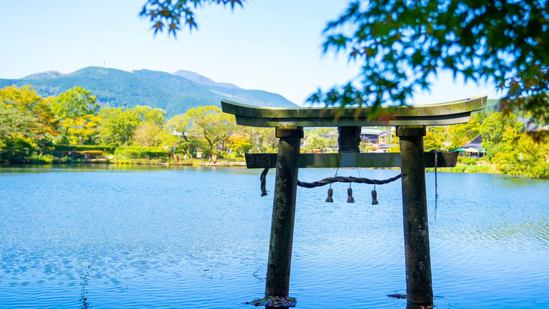 Kyushu Wildlife Park & Yufuin Full-Day Hot Springs Tour - Should you book it?