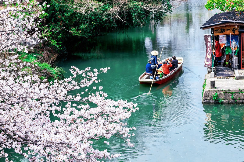 Kyushu Yanagawa & Itoshima Day Trip: Meoto Iwa & Ichiran Ramen & Yanagawa River Cruise & Shiraito Falls/Raizan Sennyoji Temple & Dazaifu Tenmangu Shrine (Departing from Fukuoka) - Miyajidake Shrine, not Dazaifu