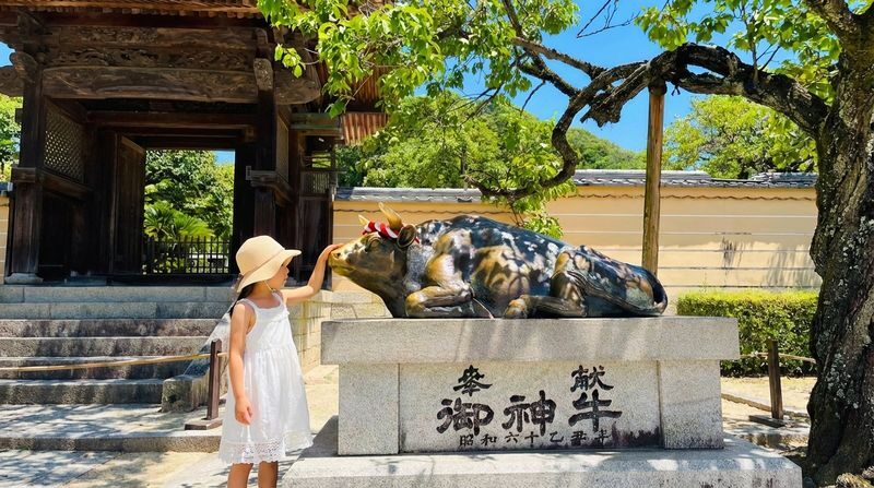 Kyushu Yufuin no Mori Sightseeing Train - Yufuin & Yufuin no Mori & Umi Jigoku & Dazaifu (Departing from Fukuoka) - Yufuin no Mori: a scenic rail journey with a ticket caveat
