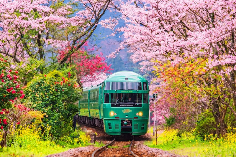 Kyushu Yufuin no Mori Train Experience | Beppu Romantic Day Trip: Yufuin Town, Umi Jigoku Hot Spring, Dazaifu Tenmangu Shrine (Departing from Fukuoka) - Key points before you book