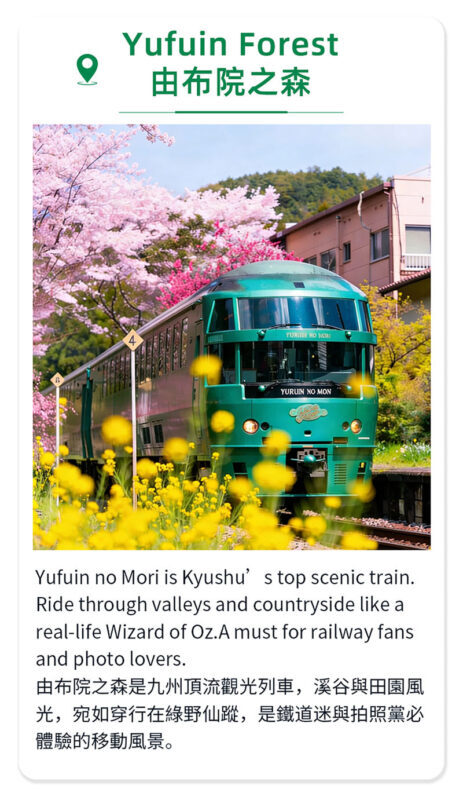 Kyushu Yufuin no Mori Train Experience | Beppu Romantic Day Trip: Yufuin Town, Umi Jigoku Hot Spring, Dazaifu Tenmangu Shrine (Departing from Fukuoka) - Umi Jigoku: Beppu’s steaming blue pool