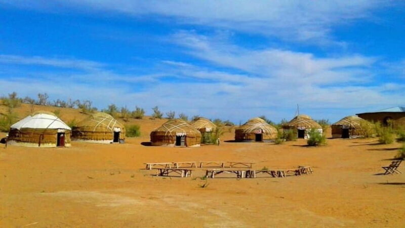 Kyzylkum Desert tour from Bukhara (1 Night 2 Days) - Good To Know