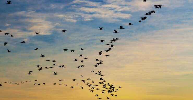 La Albufera: Nature Photowalk & Workshop - Itinerary