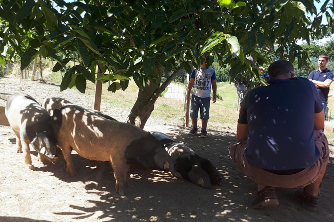 La Bastide Clairence - Village of Artists and Delicacies - Outdoor Activities
