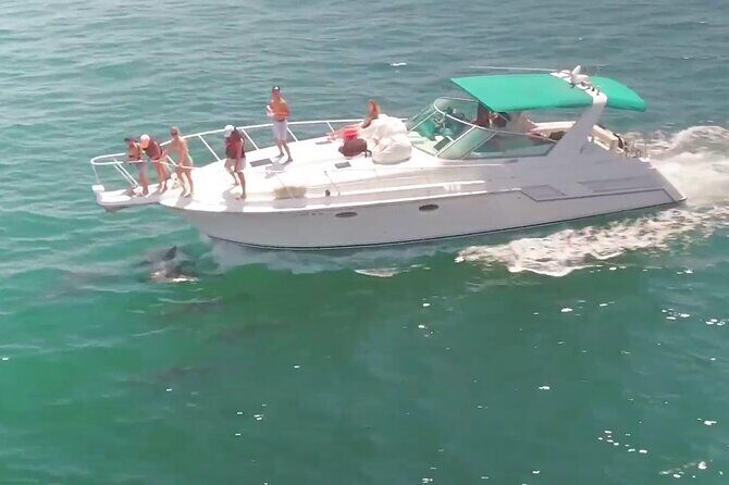 LA: Birthday Special Private Yacht (1 ticket covers 1-6 people) - Who Should Consider This Yacht Experience?