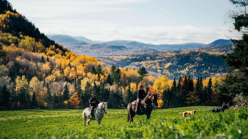 La Bleuetière: A charming introduction to horseback riding - What to Expect from La Bleuetière Horseback Riding