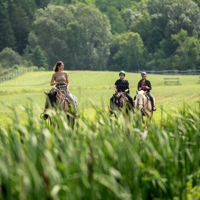 La Bleuetière: A charming introduction to horseback riding - Who Will Love This Tour?
