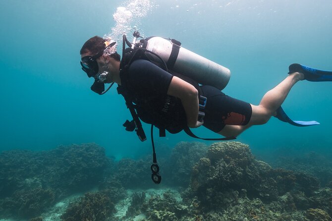 La Bombona Diving Koh Tao Try Dive - Cancellation Policy