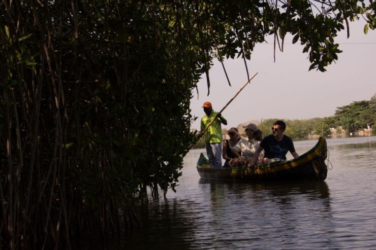La Boquilla: 3-Hour Canoe Tour Through the Manglars - Highlights of the Experience