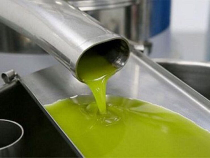 La Cañada: Guided Tour With Oil Tasting & Typical Breakfast - Experience Highlights