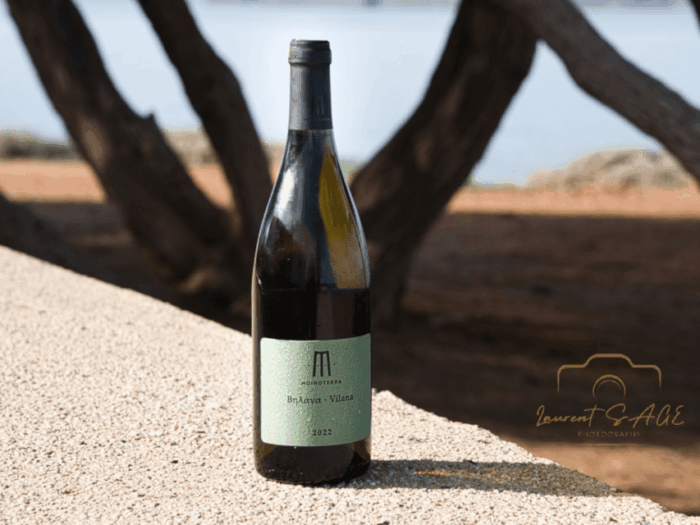 La Canée : dégustation de vins en français - Final Verdict