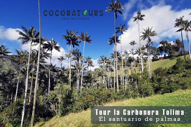 La Carbonera Sanctuary of Palms Tour - Tour Location and Inclusions