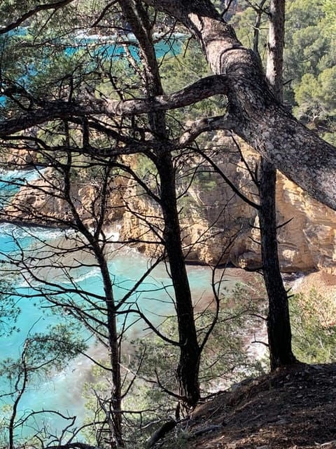 La Ciotat: Boat Tour to Cove of Var / Embiez and Swimming - Eco-Friendly Approach to Exploring Nature