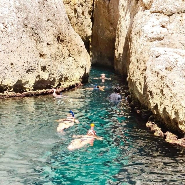 La Ciotat Boat Tour to the Calanques With Swimming - Good To Know