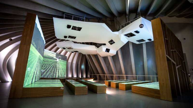 La Cite du Vin Admission with Wine Tasting - Make the trip by tram or bus