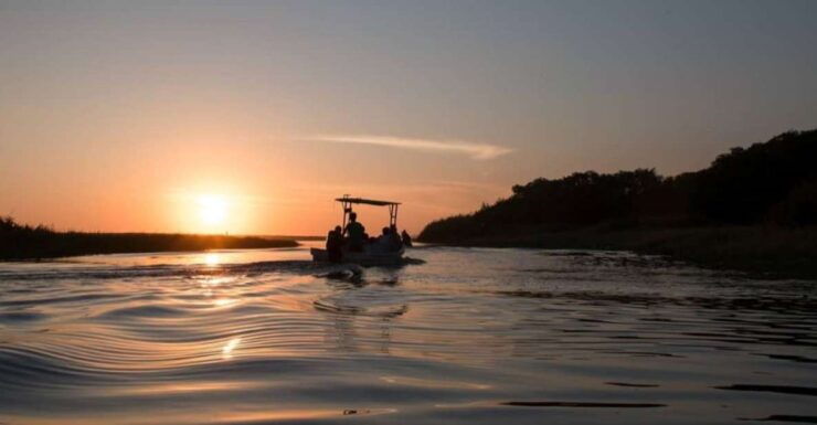 La Crucecita: Magic Lagoon Bioluminescence and Turtles Tour - Turtle Sanctuary and Conservation Efforts