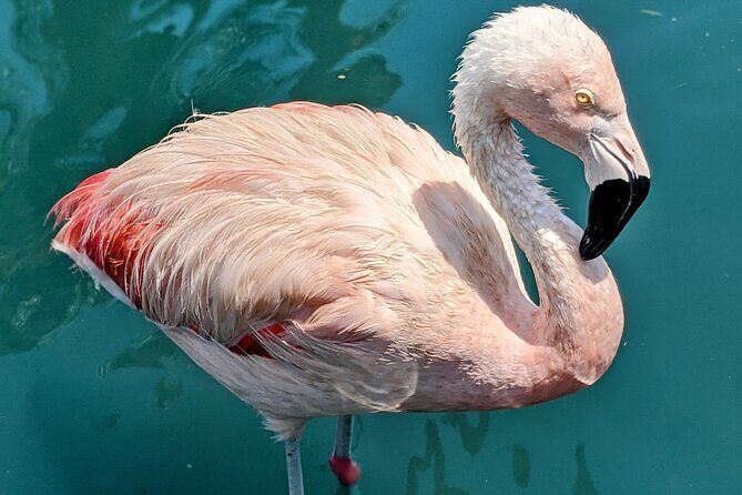 LA Day Trips to Casinos, Palm Springs, San Diego, Santa Barbara - The Sum Up