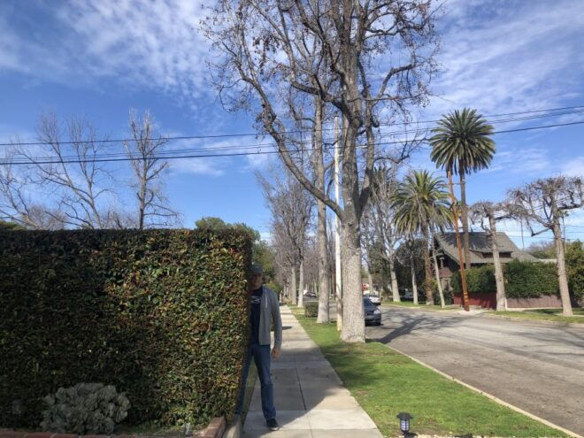 LA: East Side Guided Film Locations Tour - Customizable Itinerary