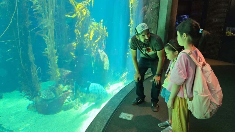 LA: Expo Park Space & Dinosaurs Tour with Cal Science Center - Final Thoughts: Is It Worth It?