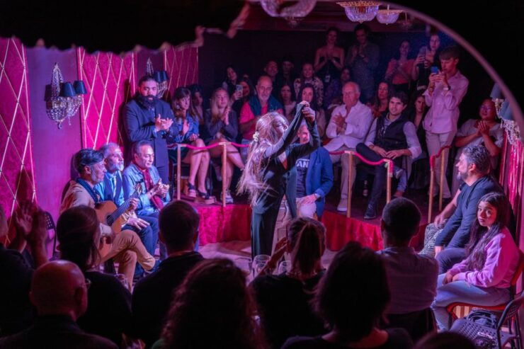 La Fiesta Flamenca: an Immersive Flamenco Experience - Good To Know