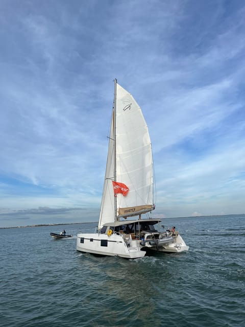 La Flotte, Ile De Ré: Sailing Catamaran Cruise - Experience Highlights