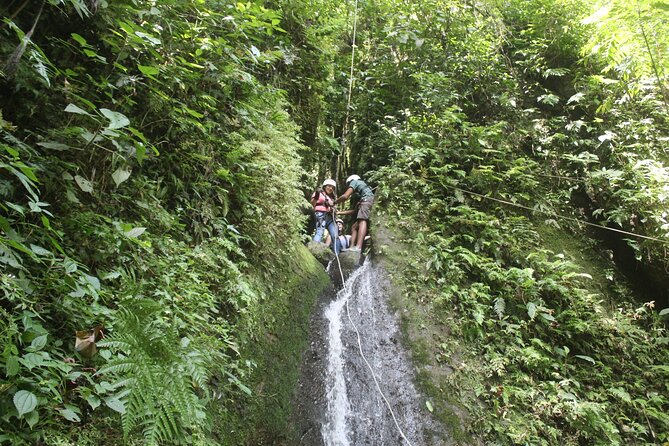 La Fortuna White-Water Rafting, Canyoning, and Tarzan Swing Tour - Tour Highlights