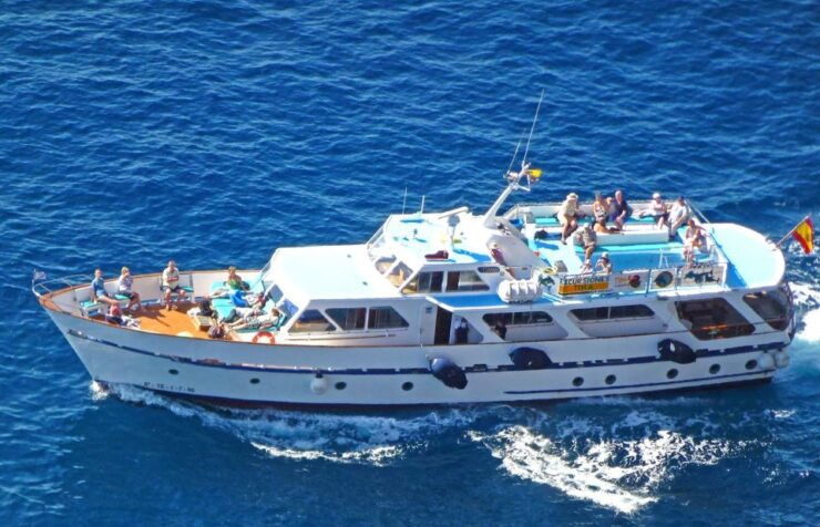 La Gomera: 3 Hours De Observación De Ballenas En Un Barco Clásico. - Highlights