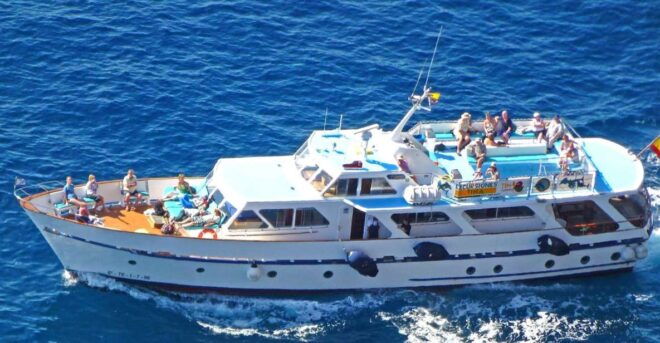 La Gomera: 3 Hours De Observación De Ballenas En Un Barco Clásico. - Vintage Boat Experience